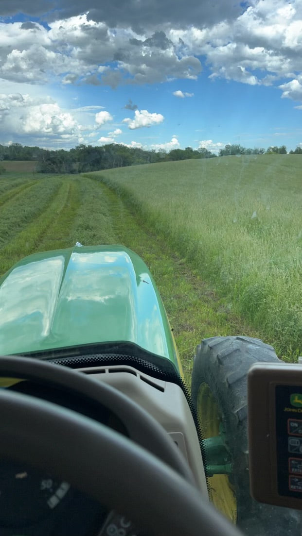 Alfalfa_grass_hay_50/50_Minnesota_Field