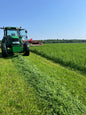 Alfalfa_grass_hay_50/50_Minnesota_Field6