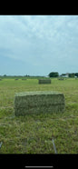 Alfalfa_hay_Minnesota_800_lb_bales_bulk