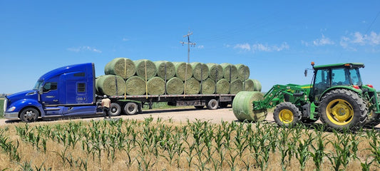 Alfalfa Hay - 1300 lb Round Bales - Nebraska - Semi-truck Load