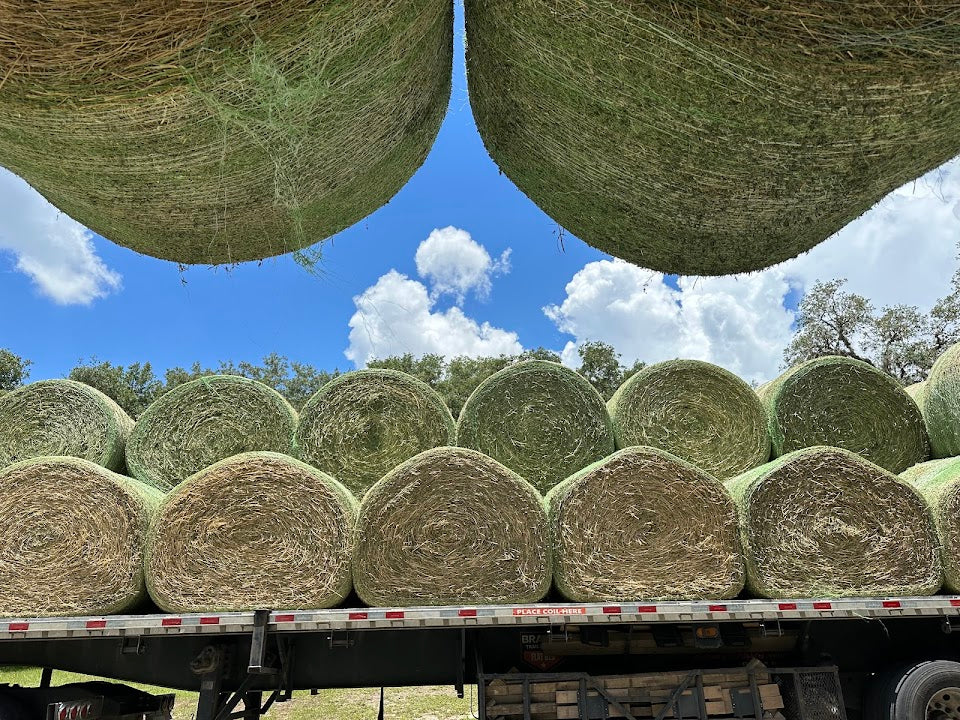 Alfalfa Hay - 1300 lb Round Bales - Nebraska - Semi-truck Load