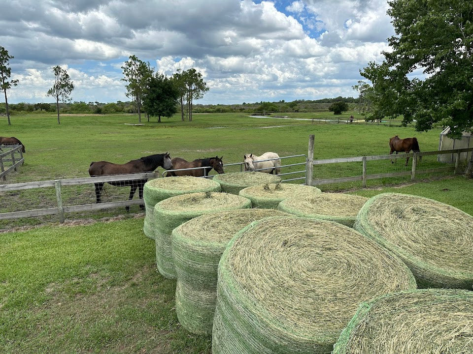 Alfalfa Hay - 1300 lb Round Bales - Nebraska - Semi-truck Load