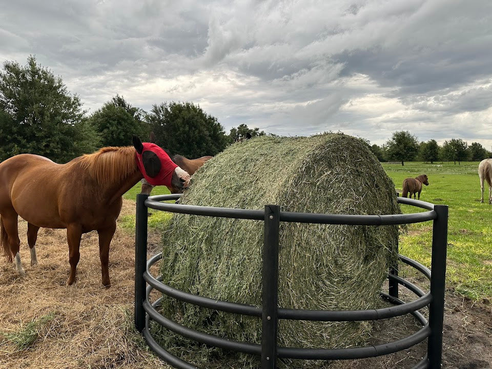 Alfalfa Hay - 1300 lb Round Bales - Nebraska - Semi-truck Load