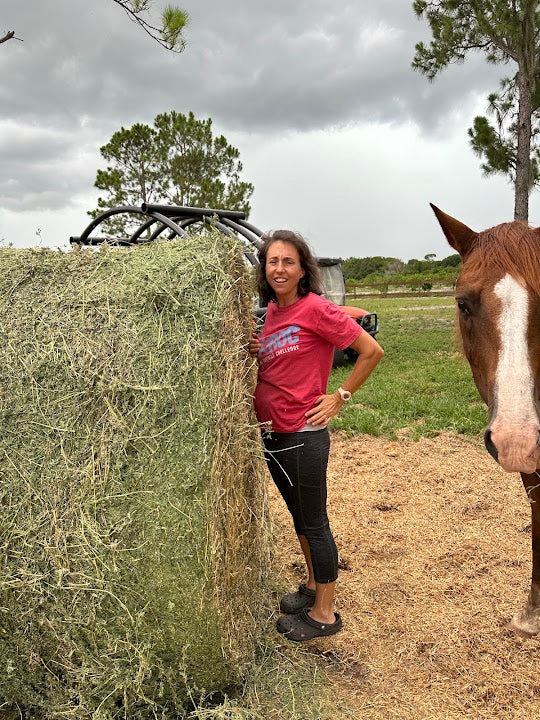 Alfalfa Hay - Round Bales - Central Florida Delivery/Pick-Up Only